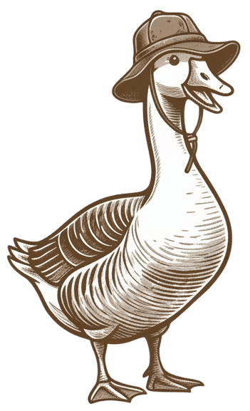 Duck exploring